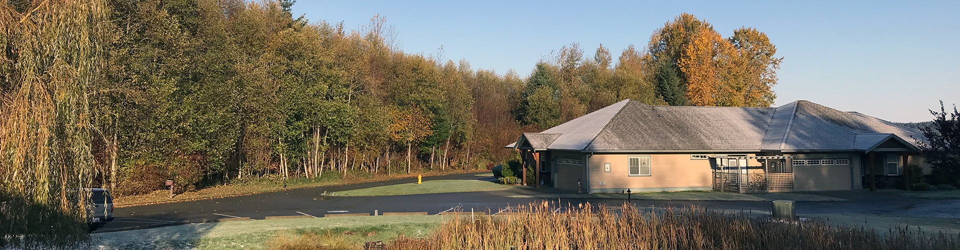 Weekly landscaping