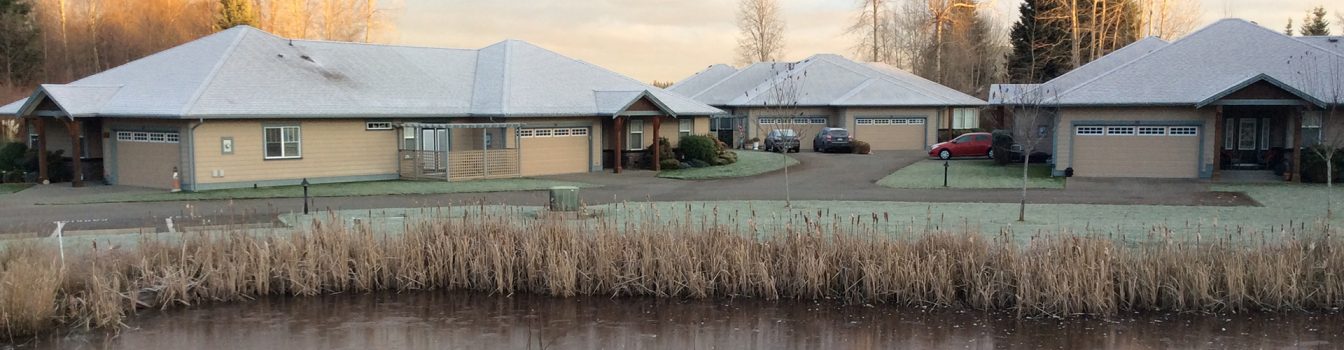 Vancouver Island Strata Owners Association