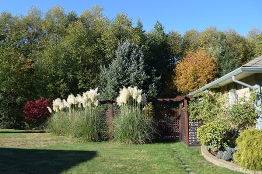 Landscaping Reminders