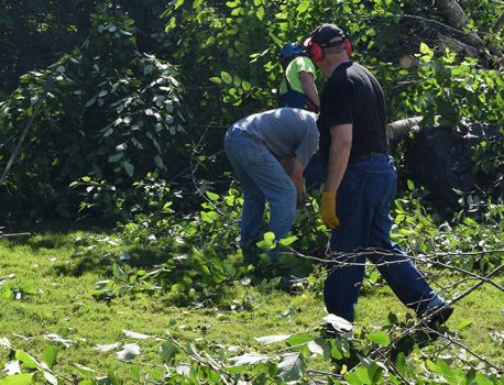 Tree and brush removal from the RV Storage Area