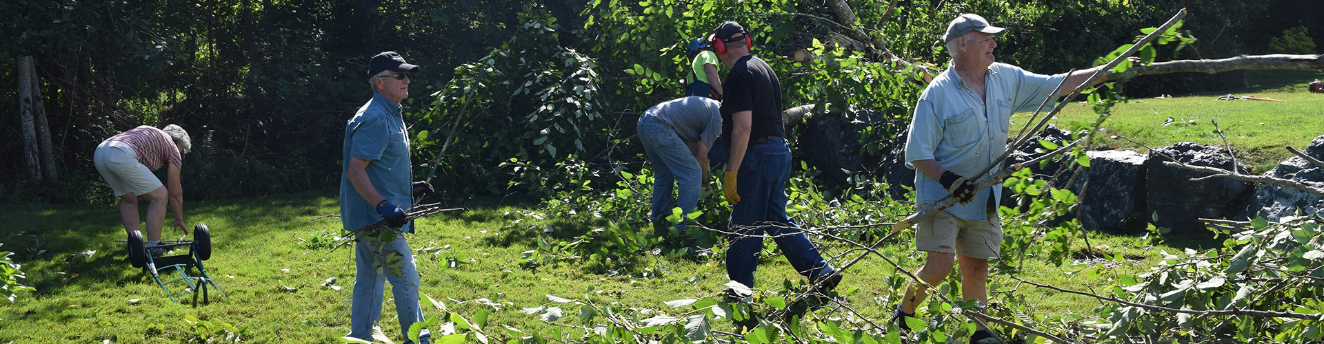 Tree and brush removal from the RV Storage Area