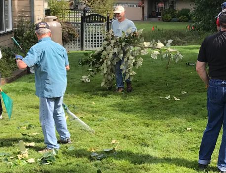 Tree cutting work party continues