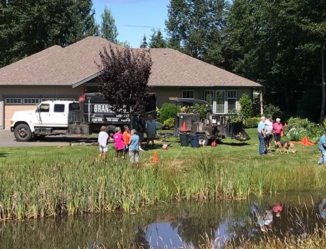 Tree Cutting: final work party day