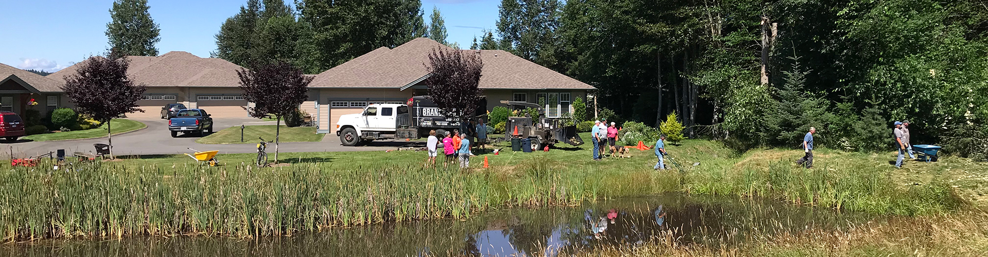 Tree Cutting: final work party day