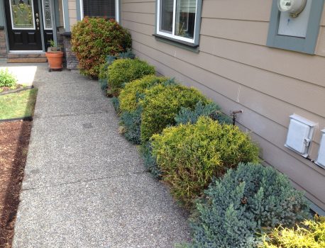 Vegetation, Windowsills and Outside Water.