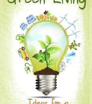 Got Green Ideas?  Chime in!