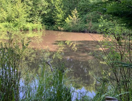 Turbidity in Upper Pond Spilling into Adjacent Stream