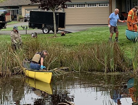 Lower Pond maintenance work party 2020