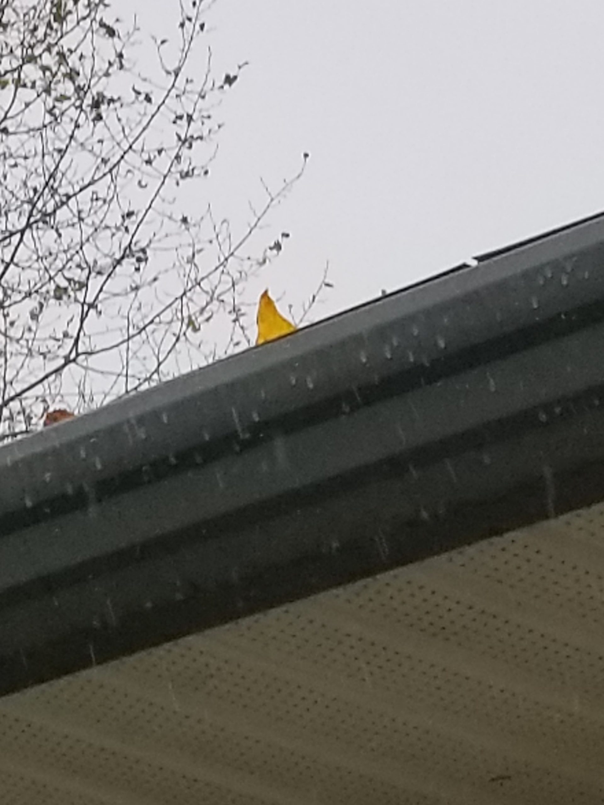 Gutters, Dryer Vents and Driveway Markers