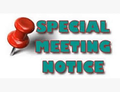 Special General Meeting