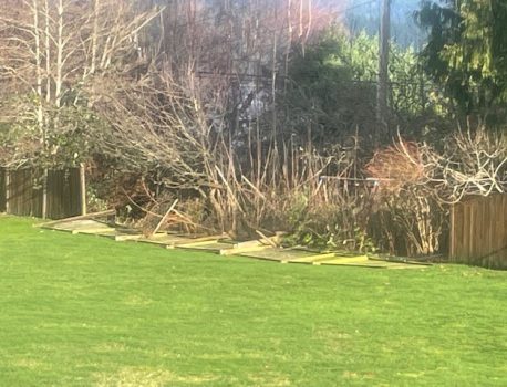 Fence repairs
